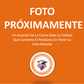 Higado de ternera
